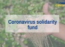 Coronavirus solidarity fund item.jpg